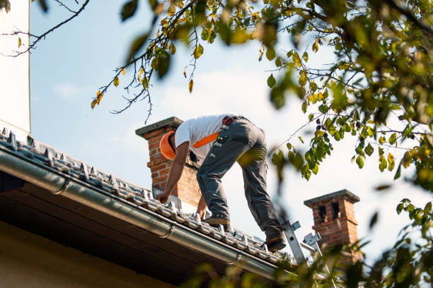 Best Storm Damage Roof Repair  in Roselle, IL